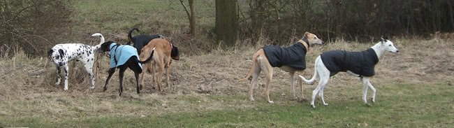 06032010014.jpg
