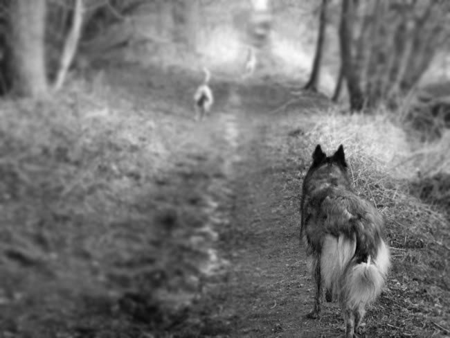 06032010033.jpg