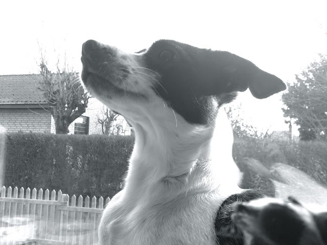 08022011773.jpg