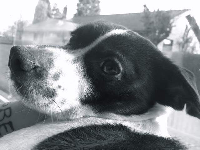 08022011775.jpg