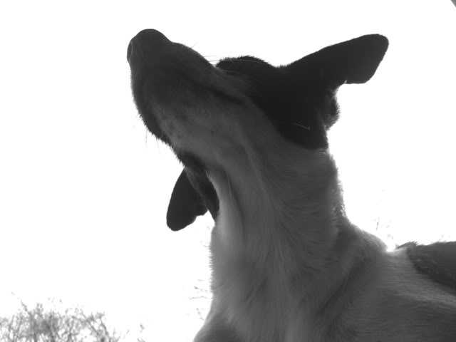 08022011784.jpg