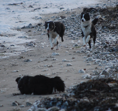 DSC_0108.JPG