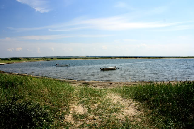 0df7f028.jpg