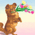 1046.gif