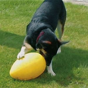 133725_pe_runningegg_1g_1.jpg