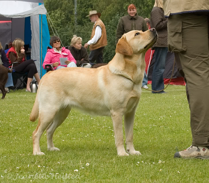 1406_4782.jpg