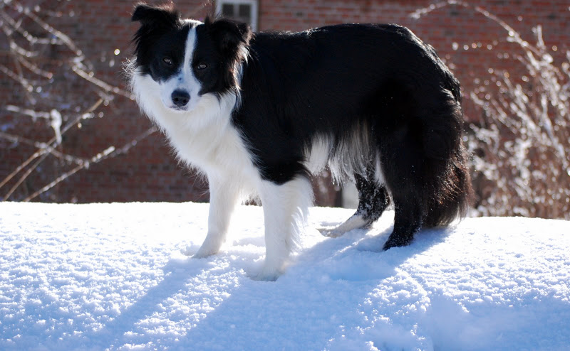 DSC_0020.JPG