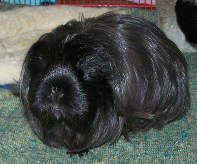 24-marts-2008-080.gif