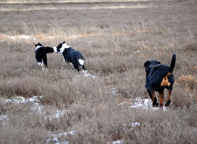 DSC_0189.JPG