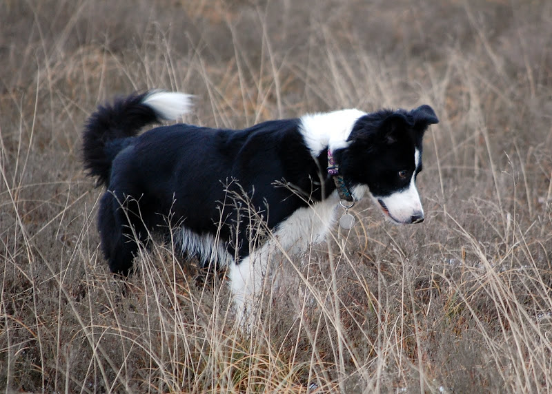 DSC_0170.JPG
