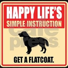 322515576v1_225x225_Front_padToSquare-true.jpg