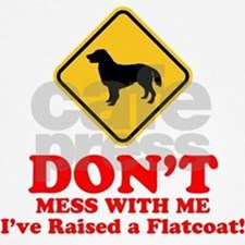 322538360v1_225x225_Front_padToSquare-true.jpg