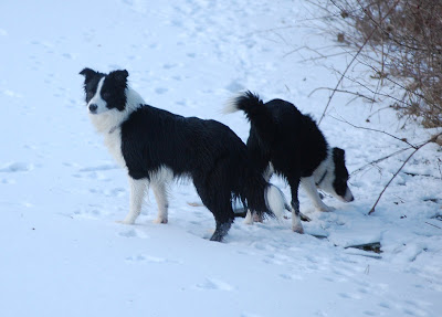 DSC_0233.JPG