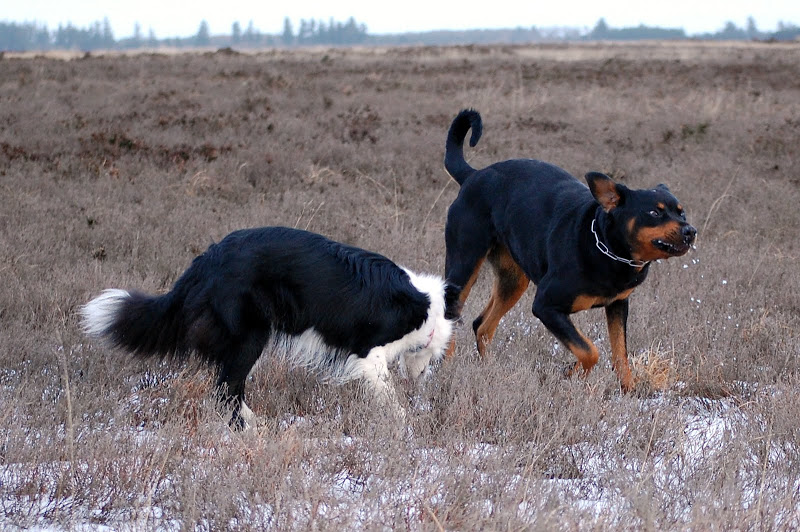 DSC_0163.JPG