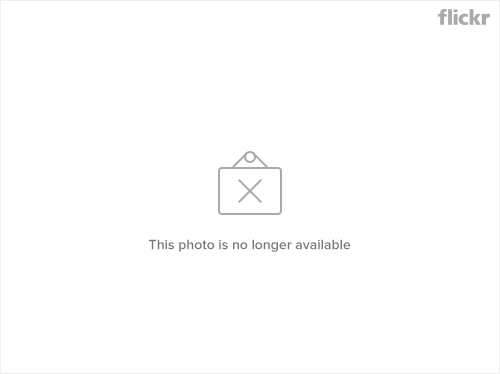 4429389554_bbb64e65b8.jpg