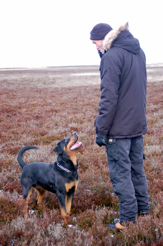 DSC_0110.JPG
