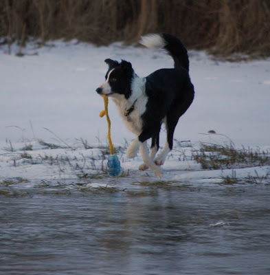 DSC_0021.JPG