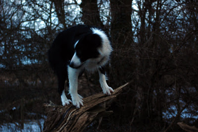 DSC_0275.JPG