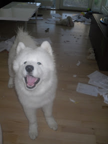 5814350_orig.jpg