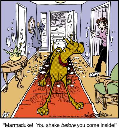 Marmaduke%20film%20Brad%20Anderson.jpg