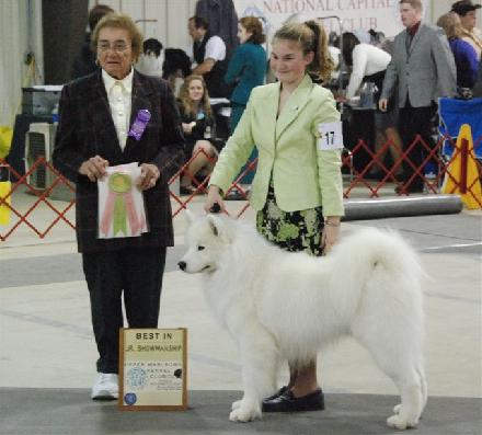 440_Morgan_Miller,_Upper_Marlboro_Kennel_Club,_Samoyed.jpg