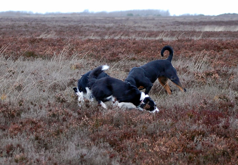 DSC_0098.JPG