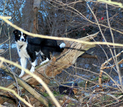 DSC_0277.JPG