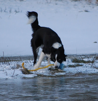 DSC_0023.JPG