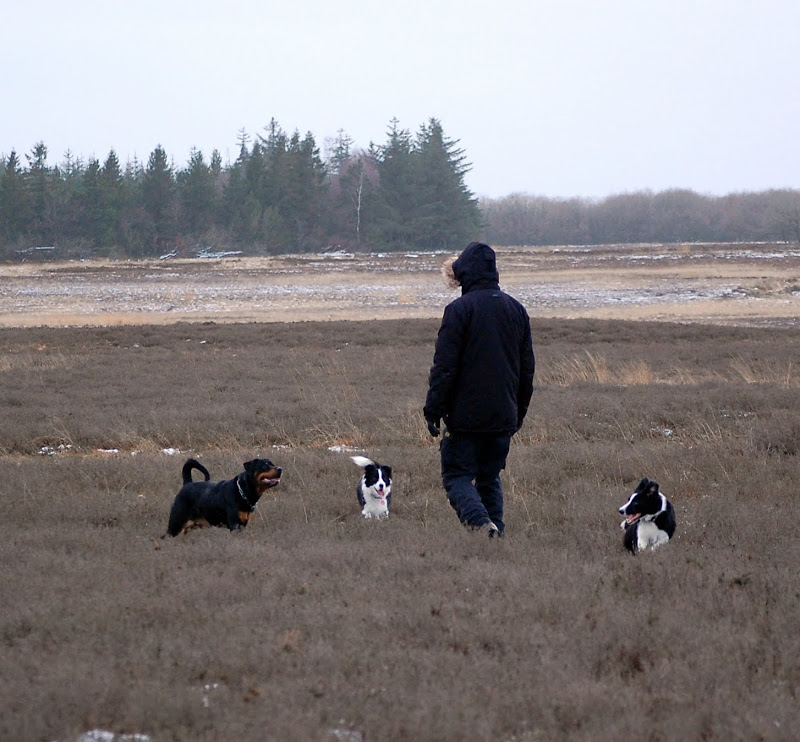 DSC_0218.JPG