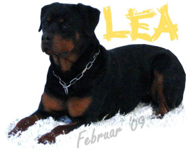 lea_feb_09_edit2.JPG
