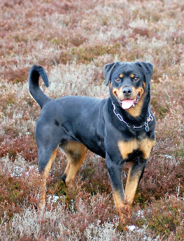 DSC_0111.JPG