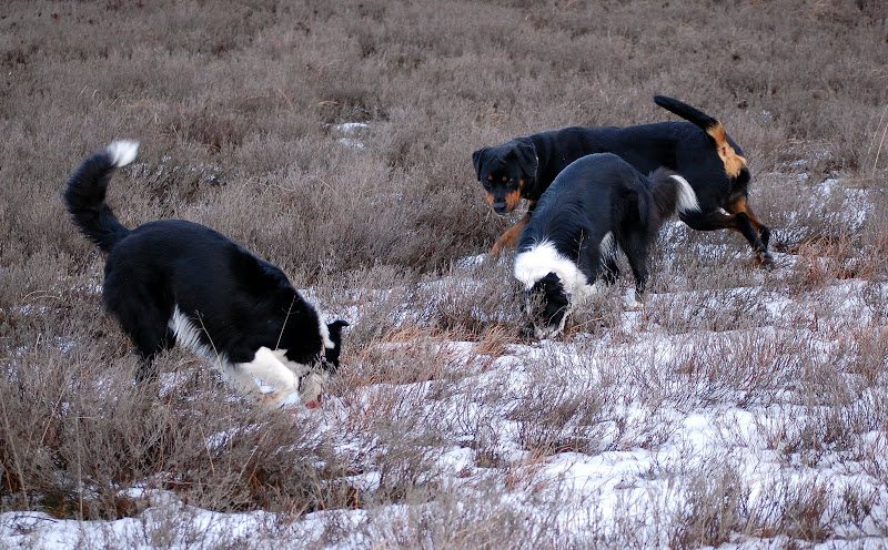 DSC_0159.JPG