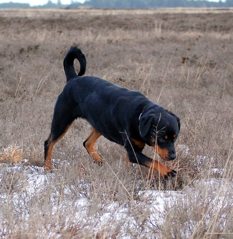 DSC_0164.JPG