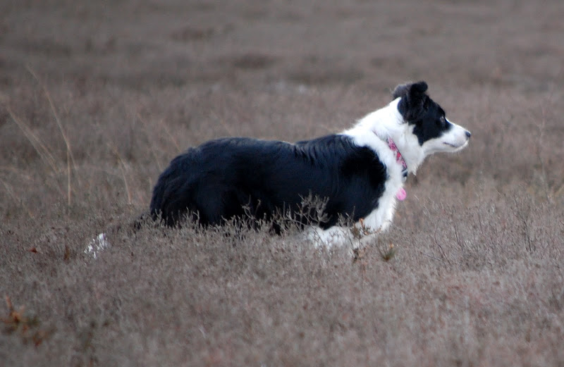 DSC_0235.JPG