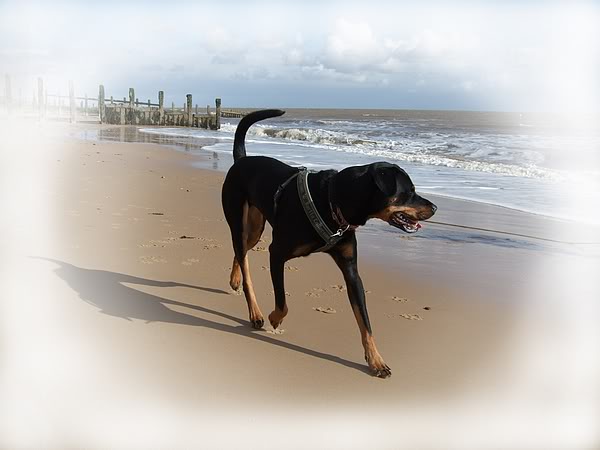 Clacton-on-sea056ps.jpg