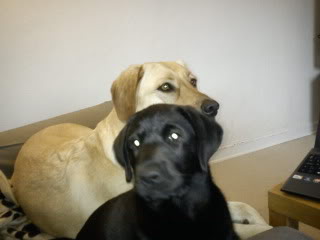 DSC00188.jpg