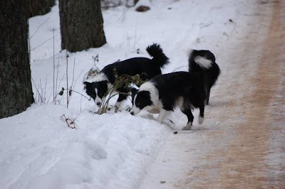 DSC_0013.JPG