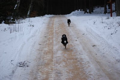 DSC_0035.JPG