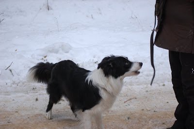 DSC_0038.JPG