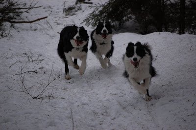 DSC_0047.JPG