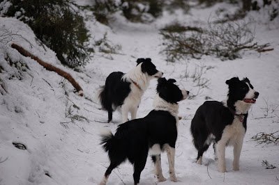 DSC_0054.JPG