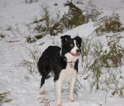 DSC_0079.JPG