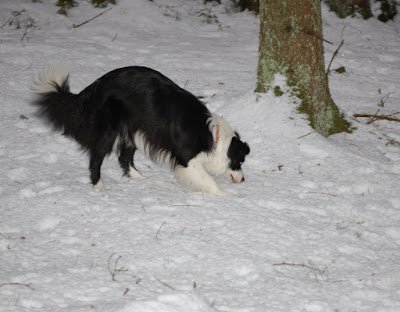 DSC_0086.JPG