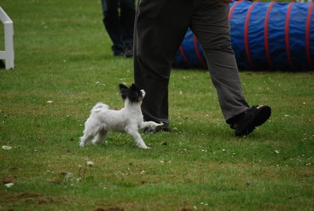 DSC_0155.jpg