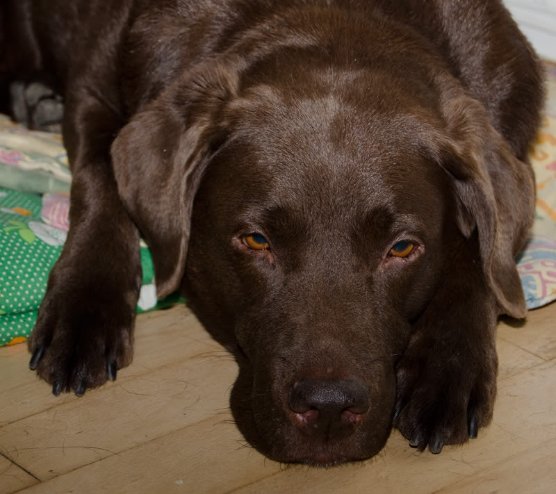 DSC_5221.jpg