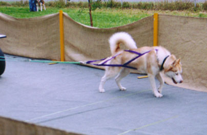 Gromit-Weight-pull.jpg
