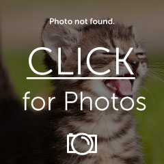 IMG_1293b.jpg