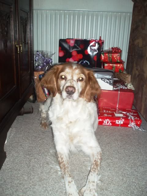 Julebilleder2009013.jpg