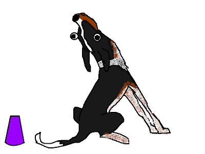 Kellie27.png