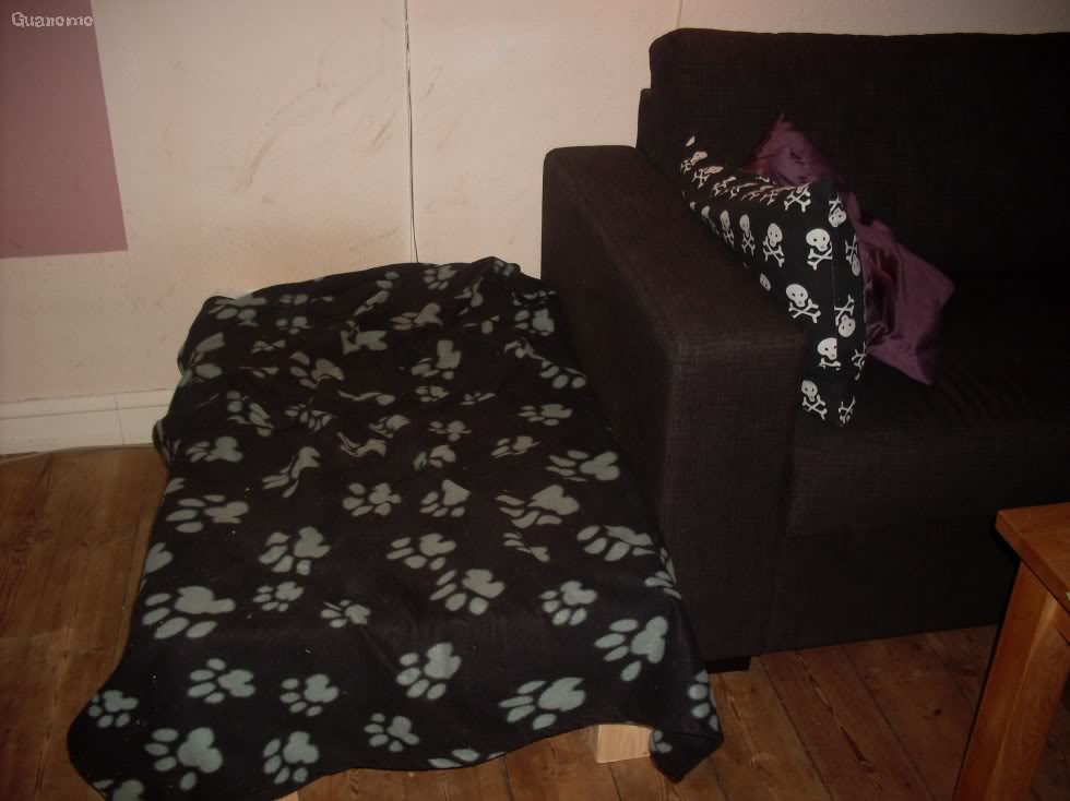 SDC11546.jpg
